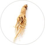 ginseng